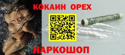 крисы Ставрополь