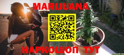 крисы Ставрополь